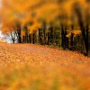 img_11814